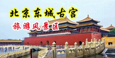 性感美女小穴扣B流白浆免费看中国北京-东城古宫旅游风景区